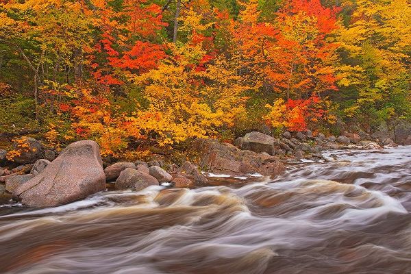 Canada-Nova Scotia Mary-Anne Falls and forest in autumn foliage